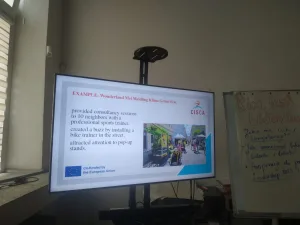 Cisca 1